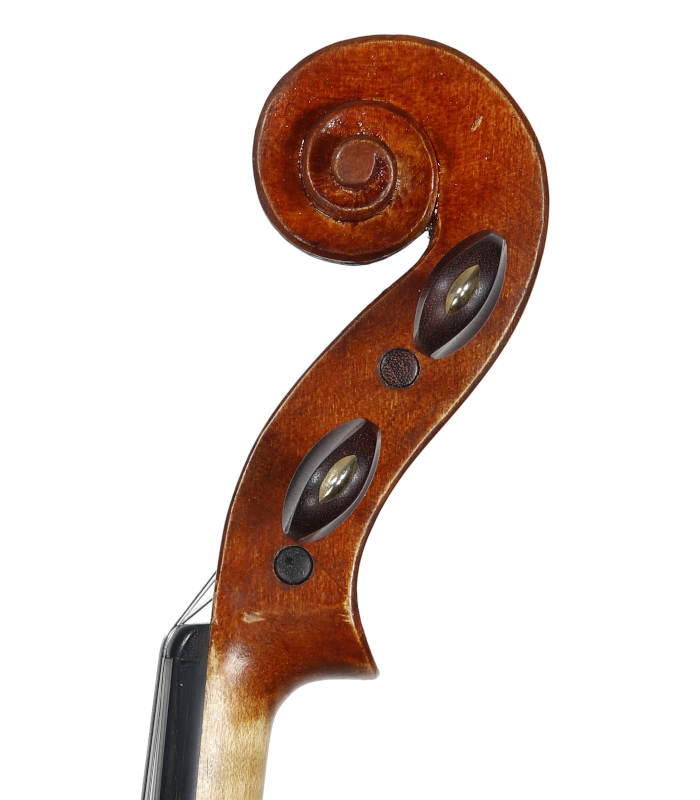 Scroll of violin made by Jedidjah - 2021
