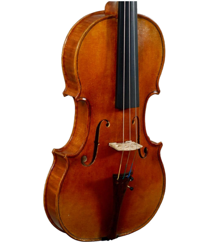 ¾ view of violin made by Jedidjah de Vries - 2020