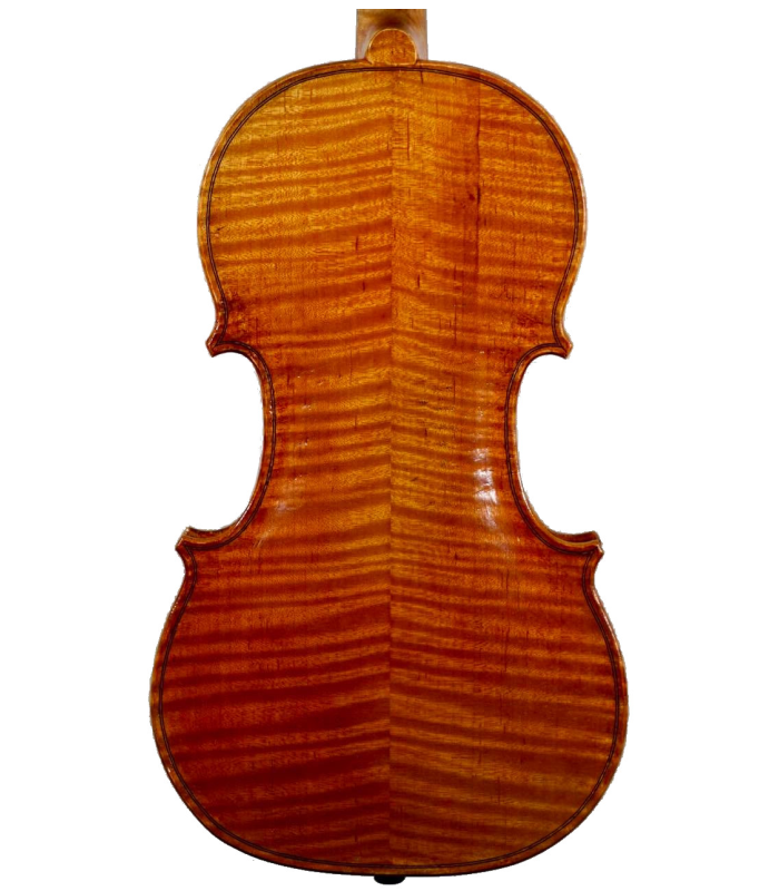 Back view of viola made by Jedidjah de Vries - 2020